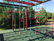 Смородинка #2